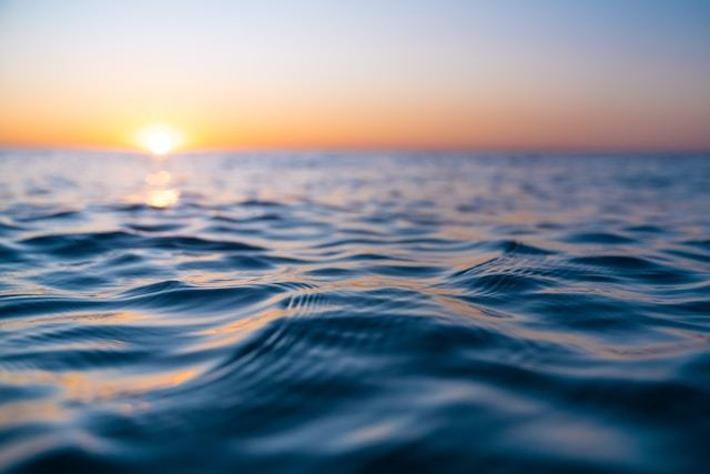 08fd8783-01b5-45c2-859a-e9e26651ed34