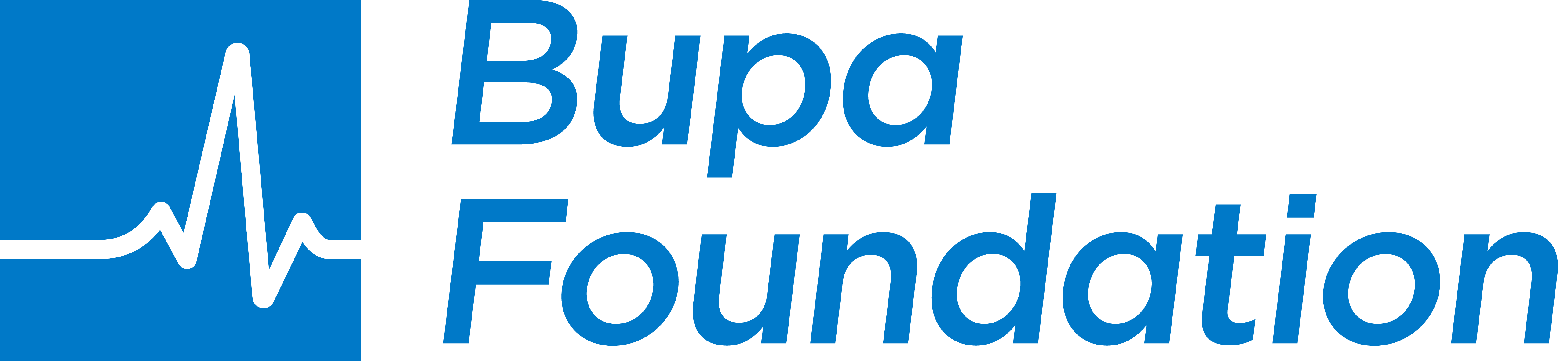 Bupa Foundation