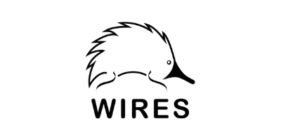 wires BW 2