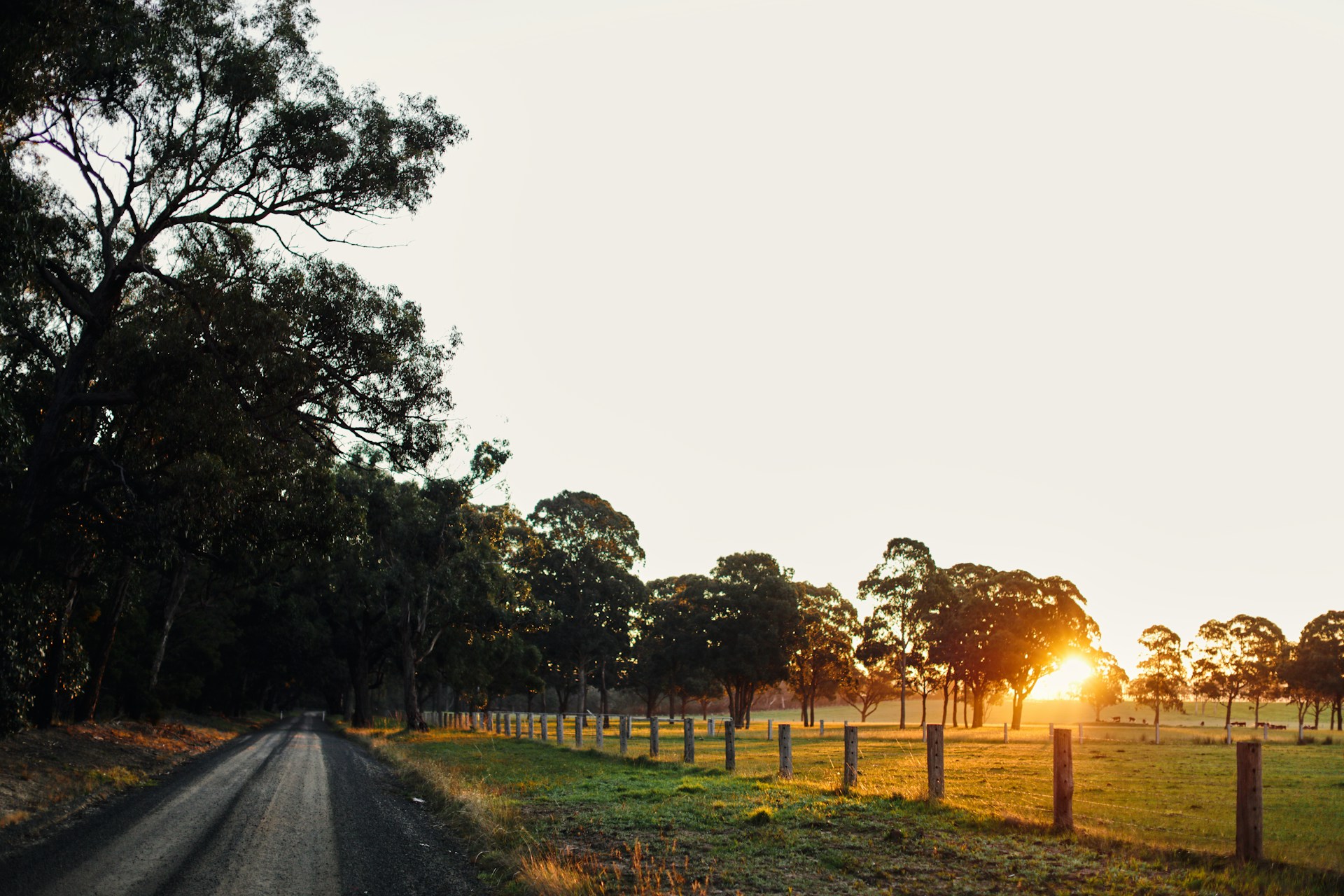 Grants for Victoria